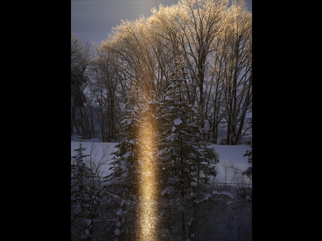 LUMIX GH4 SPECIAL GALLERY Masumi Takahashi -The Frigid Winter of Biei/Frano