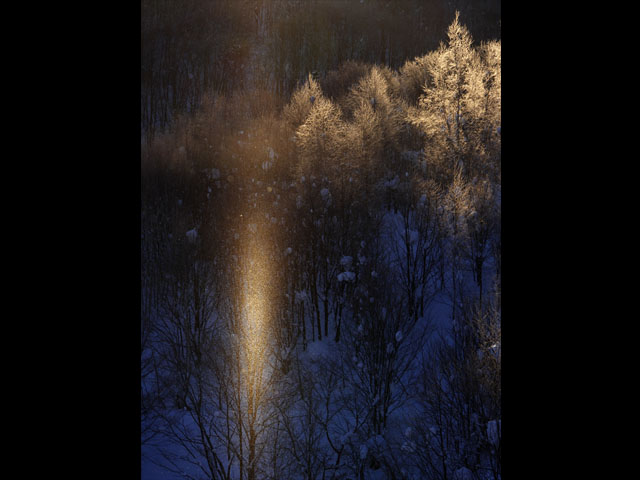 LUMIX GH4 SPECIAL GALLERY Masumi Takahashi -The Frigid Winter of Biei/Frano