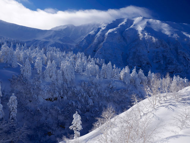 LUMIX GH4 SPECIAL GALLERY Masumi Takahashi -The Frigid Winter of Biei/Frano