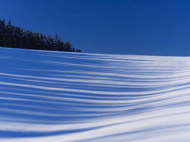LUMIX GH4 SPECIAL GALLERY Masumi Takahashi -The Frigid Winter of Biei/Frano