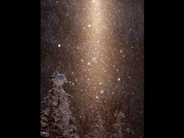 LUMIX GH4 SPECIAL GALLERY Masumi Takahashi -The Frigid Winter of Biei/Frano