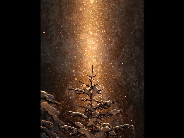 LUMIX GH4 SPECIAL GALLERY Masumi Takahashi -The Frigid Winter of Biei/Frano