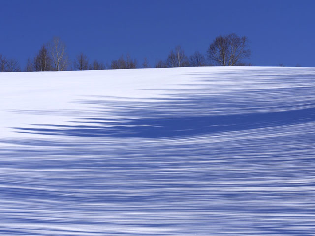 LUMIX GH4 SPECIAL GALLERY Masumi Takahashi -The Frigid Winter of Biei/Frano