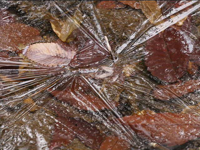 LUMIX GH4 SPECIAL GALLERY Takehito Miyatake - The Land of South Kyushu