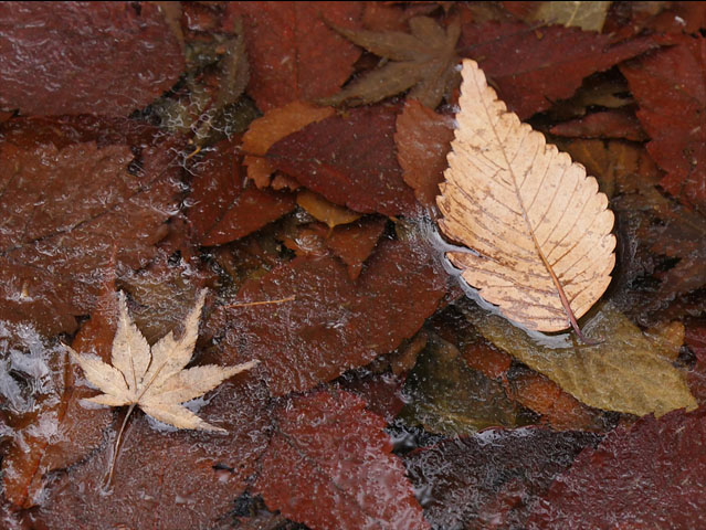LUMIX GH4 SPECIAL GALLERY Takehito Miyatake - The Land of South Kyushu
