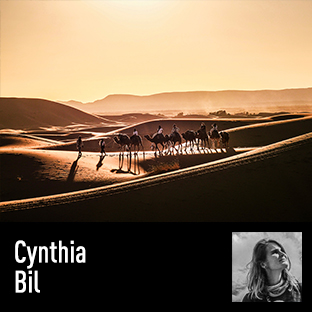 Cynthia Bil