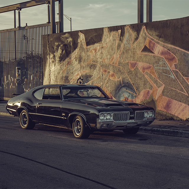 MIAMISTERY LUMIX GH6 See more