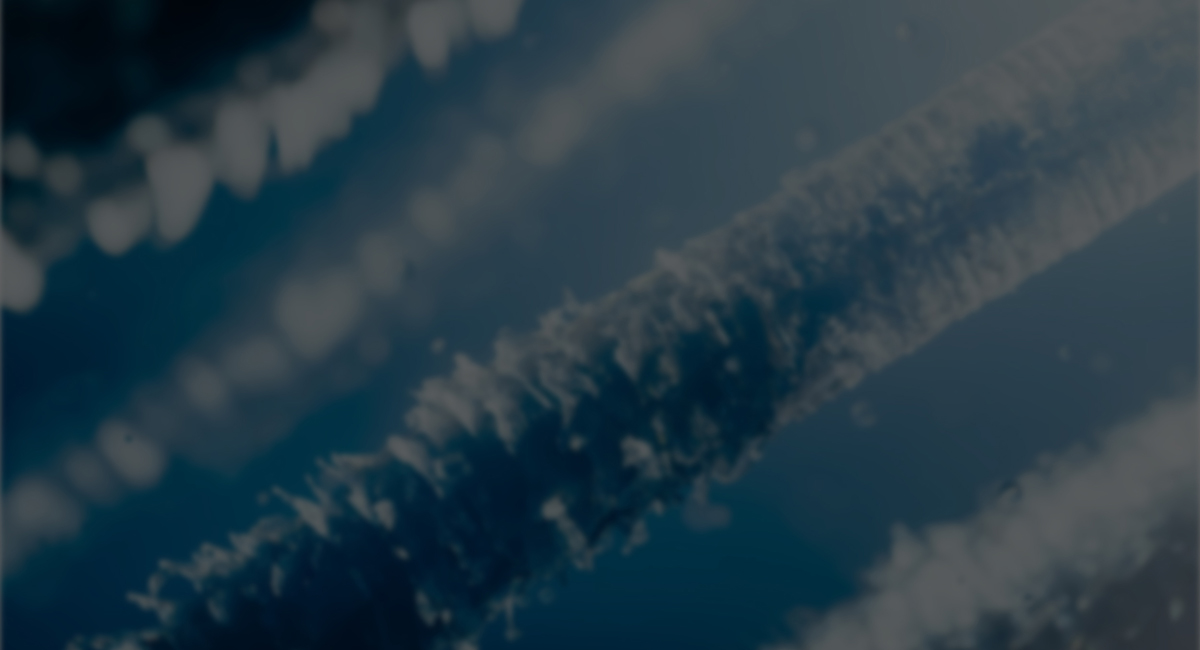 Moisture-Rich
nanoe™ Particles