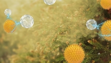 Imagen de los efectos de nanoe™ X frente al polen