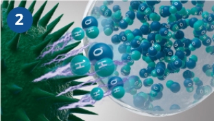 Hydroxyl radical denature allergen proteins.