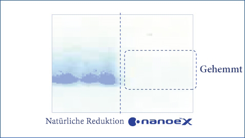 Eine Abbildung zeigt, dass nanoe™ X hochwirksam gegen das Milbenallergen Dermatophagoides farinae ist.