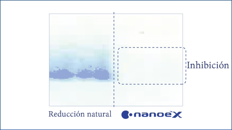 Esta ilustración muestra que nanoe™ X es eficaz contra el alérgeno del ácaro Dermatophagoides farinae