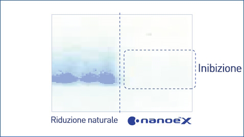 L'illustrazione mostra che nanoe™ X è efficace contro l'allergene dell'acaro dermatophagoides farina