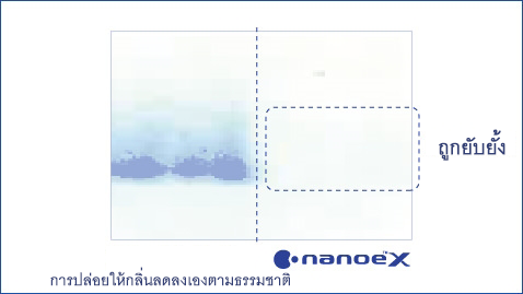 ภาพประกอบแสดงให้เห็นว่า nanoe™ X มีประสิทธิภาพสูงต่อสารก่อภูมิแพ้จากไรฝุ่น Dermatophagoides farinae