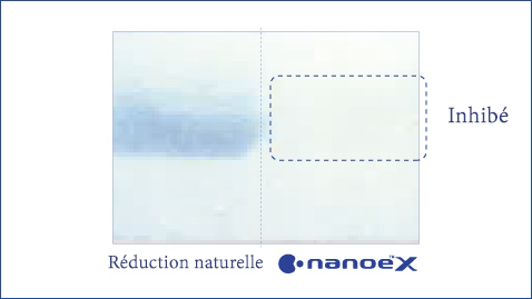 Un graphique montrant que nanoe™ X est efficace contre les allergènes d'insectes comme les cafards
