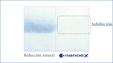 Esta ilustración muestra que nanoe™ X es eficaz contra los alérgenos de los insectos, como las cucarachas