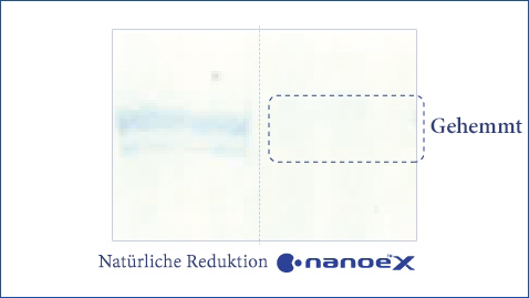 Eine Abbildung, die zeigt, dass nanoe™ X hochwirksam gegen Schimmelpilze wie Aspergillus ist.