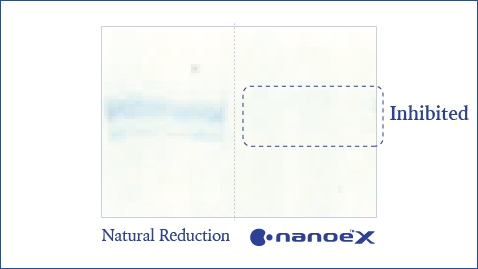 An illustration showing that nanoe™ X is highly effective against mould like Aspergillus