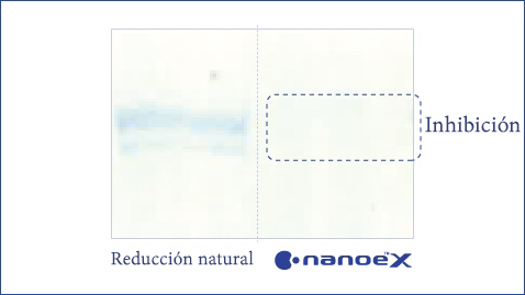 Esta ilustración muestra que nanoe™ X es eficaz contra el moho, como el Aspergillus