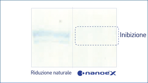 L'illustrazione mostra che nanoe™ X è efficace contro la muffa come l'aspergillo