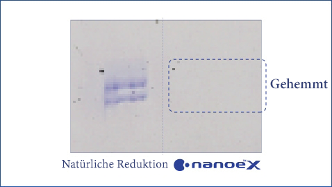 Eine Abbildung, die zeigt, dass nanoe™ X hochwirksam gegen die Pollen von Bäumen, wie z. B. Zedern, und Sträuchern ist.