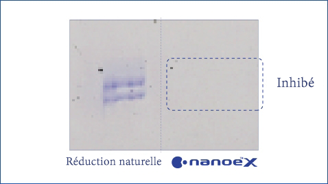 Une illustration montrant que nanoe™ X est efficace contre le pollen des cèdres et des arbustes