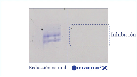 Esta ilustración muestra que nanoe™ X es  eficaz contra el polen de los árboles, como el cedro, y de los arbustos