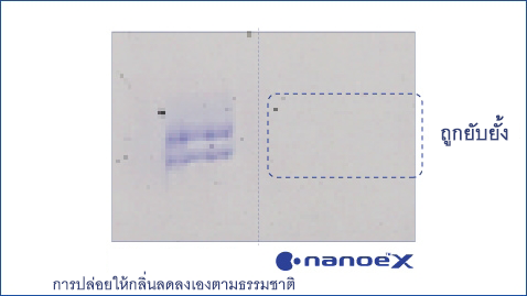 ภาพประกอบแสดงให้เห็นว่า nanoe™ X มีประสิทธิภาพสูงต่อละอองเกสรดอกไม้จากต้นซีดาร์และพุ่มไม้
