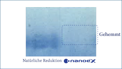Eine Abbildung, die zeigt, dass nanoe™ X hochwirksam gegen Allergene wie Katzenhaare ist.