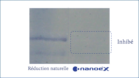 Une illustration montrant que nanoe™ X est efficace contre les allergènes d'herbes telles que l'ambroisie