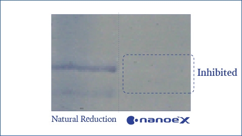 An illustration showing that nanoe™ X is highly effective against grass pollens like ragweed