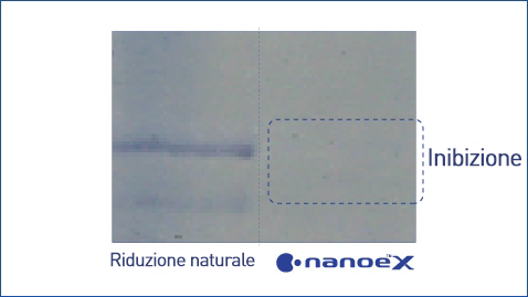 L'illustrazione mostra che nanoe™ X è efficace contro il polline delle graminacee come l'ambrosia