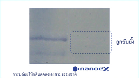 กราฟแสดงให้เห็นว่า nanoe™ X มีประสิทธิภาพสูงต่อละอองเกสรดอกหญ้า เช่น แร็กวีด