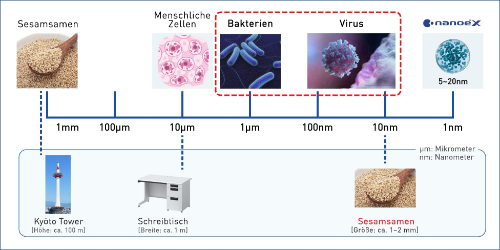Ein Größenvergleich zwischen Viren und Bakterien.
