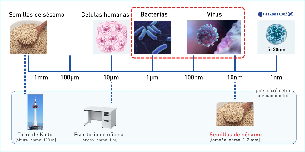 Esta figura compara el tamaño entre virus y bacterias 
