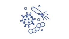 Un lien vers la page « Bactéries et virus »