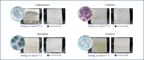 Hình ảnh thu nhỏ về  nanoe™ X có hiệu quả cao trong việc ức chế sự phát triển các loại nấm mốc bám dính