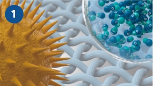 nanoe™ X tiếp cận chính xác phấn hoa.