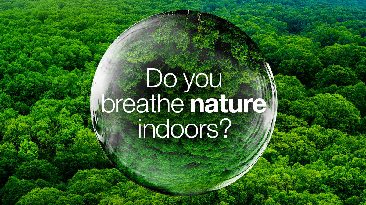 Do you breathe nature indoors?