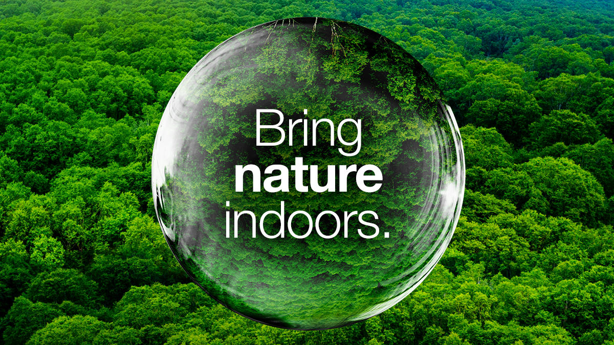 Bring nature indoors.