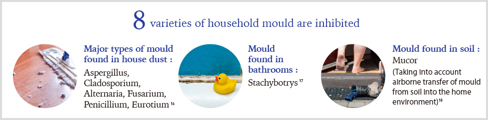 An image showing that 8 varieties of household mould are inhibited