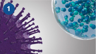 nanoe™ X reliably reaches viruses.