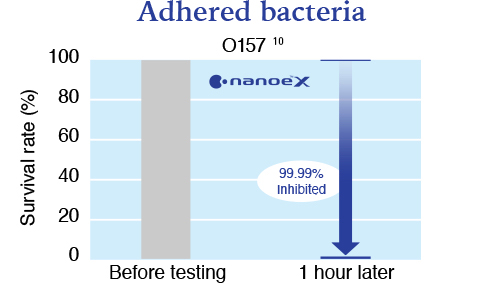 Grafik menunjukkan bahwa nanoe™ X sangat efektif terhadap bakteri O157 yang menempel