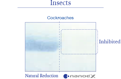 Ilustrasi menunjukkan bahwa nanoe™ X sangat efektif terhadap alergen serangga seperti kecoak