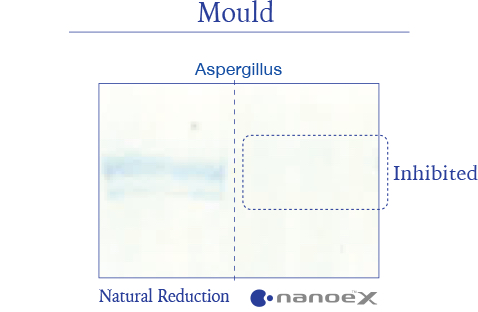 An illustration showing that nanoe™ X is highly effective against mould like Aspergillus