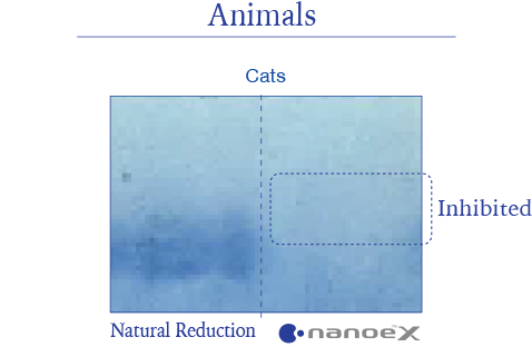 An illustration showing that nanoe™ X is highly effective against allergens like cat dander
