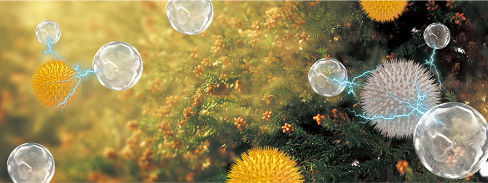 Ilustrasi menunjukkan bahwa nanoe™ X efektif terhadap serbuk sari