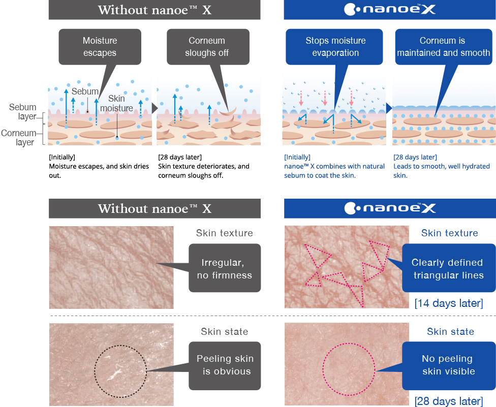 An illustration showing how, without nanoe™ X, moisture can escape from the surface of skin, which can cause the corneum to slough off. An illustration showing how moisture is maintained on the surface of the skin and that the corneum is kept smooth when nanoe™ X is used. An image showing that without nanoe™ X skin texture is irregular, lacks firmness, and tends to peel. An image showing that the skin shows triangular lines and does not peel when nanoe™ X is used.