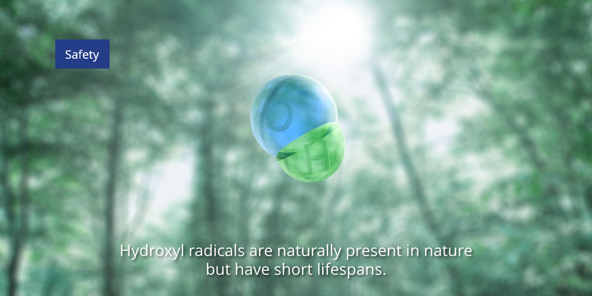 Hydroxyl radicals are present in nature but have short lifespans.