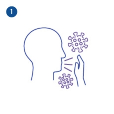 An illustration that shows that if a hand with a virus on it touches a doorknob or light switch, the virus may adhere to that object and that when another person touches that object and then touches his or her eyes or nose, the virus may enter that person’s body